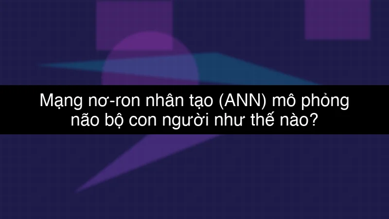 Mạng nơ-ron nhân tạo (ANN) mô phỏng não bộ con người như thế nào?
