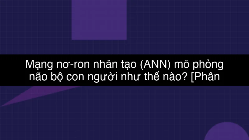 Mạng nơ-ron nhân tạo (ANN) mô phỏng não bộ con người như thế nào? schema